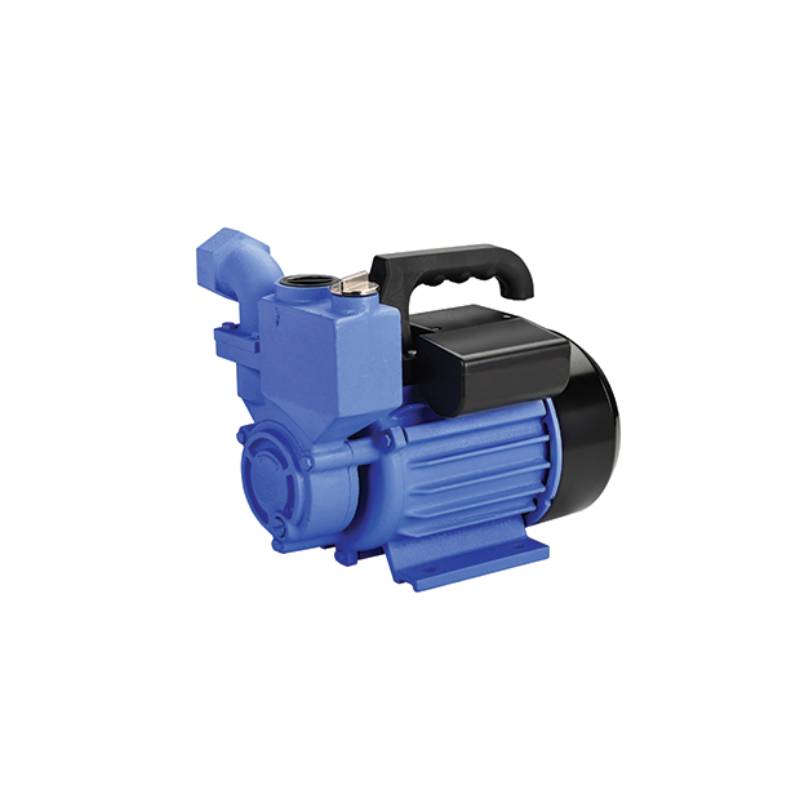 Self-priming pumps